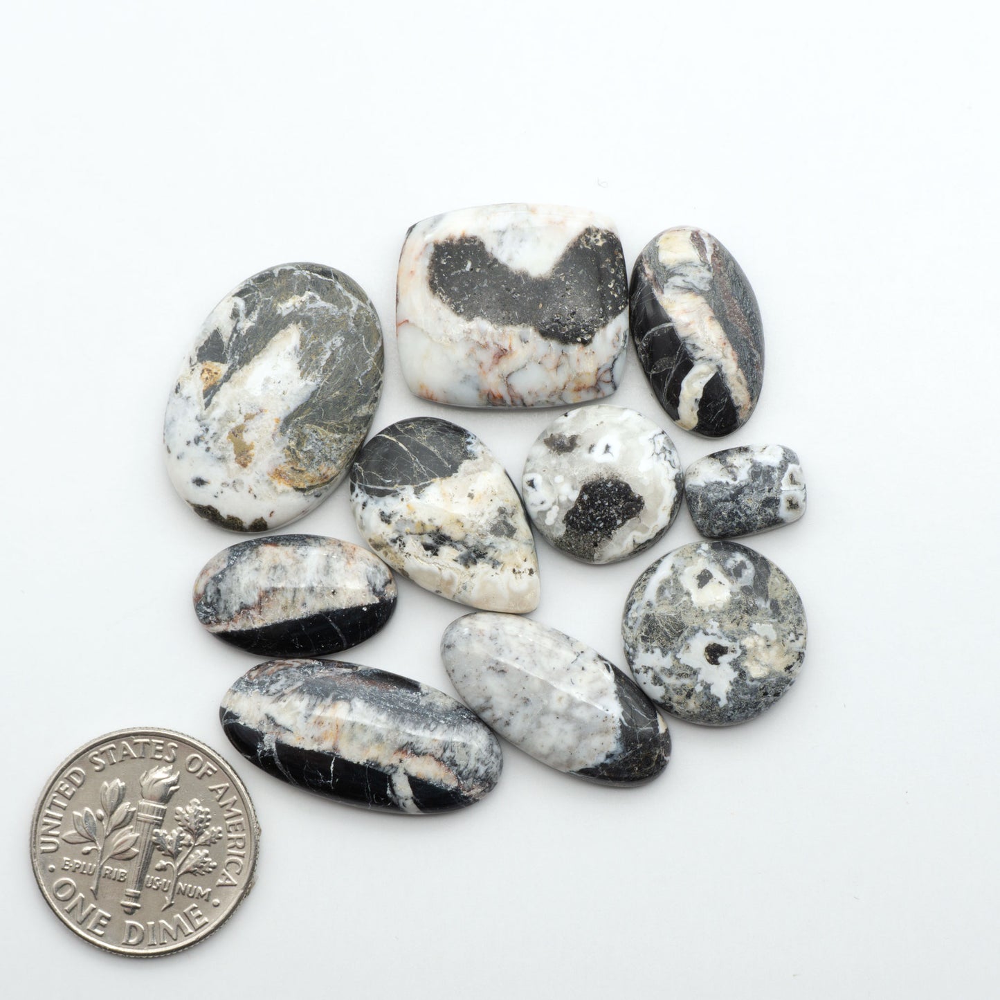 White Buffalo stone cabochons, white stone with black matrix, polished stones on a white background, with a US dime for scale