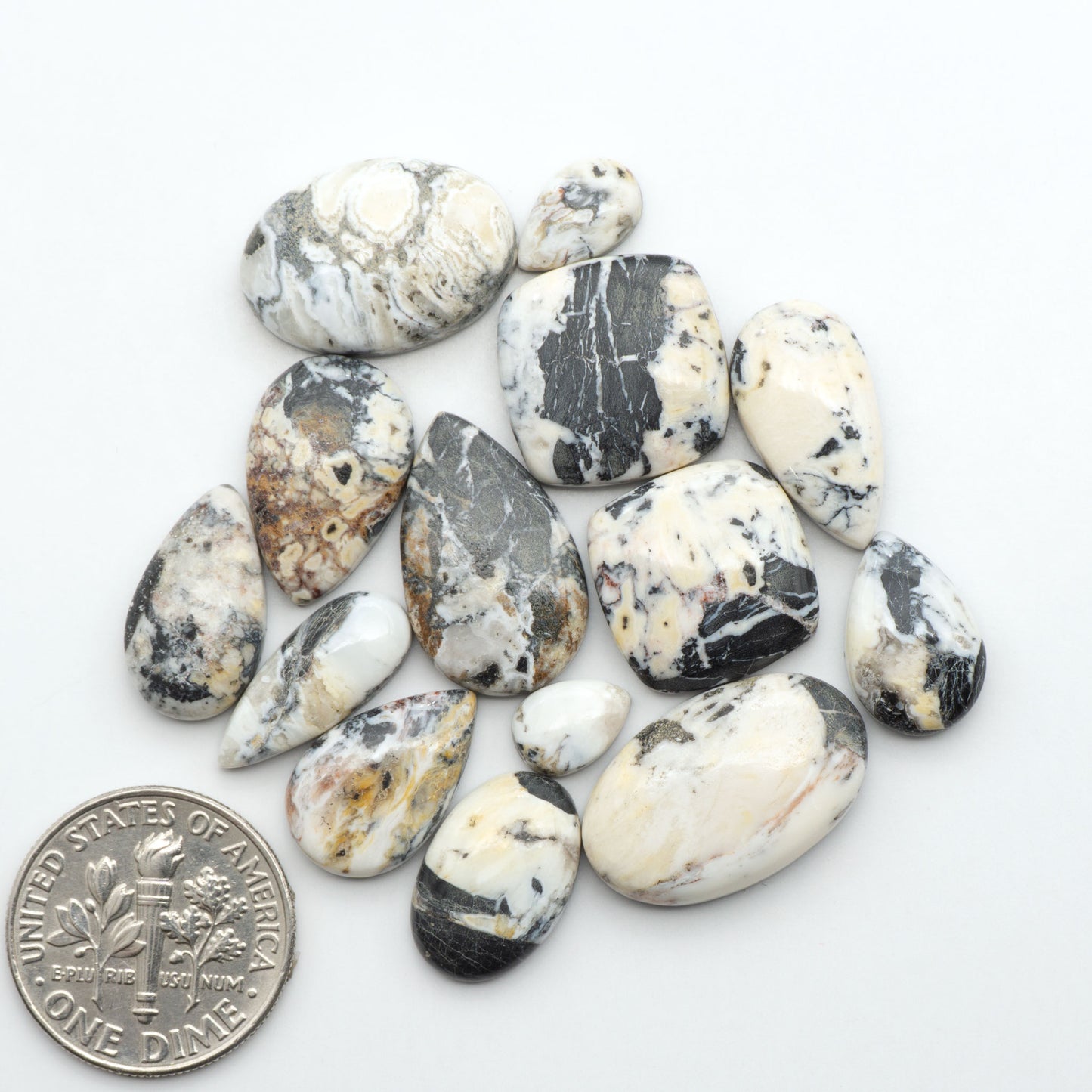 White Buffalo stone cabochons, white stone with black matrix, polished stones on a white background, with a US dime for scale