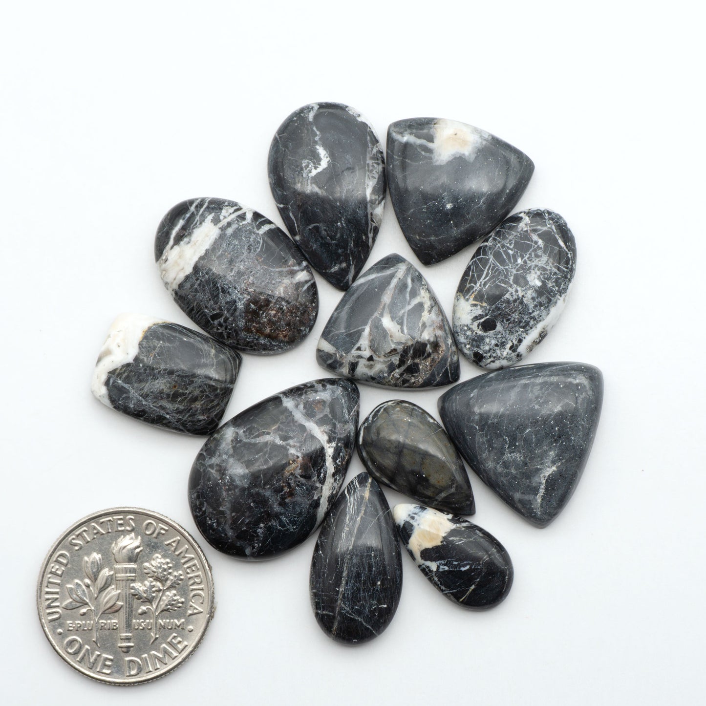 White Buffalo stone cabochons, white stone with black matrix, polished stones on a white background, with a US dime for scale
