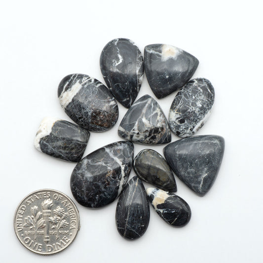 White Buffalo stone cabochons, white stone with black matrix, polished stones on a white background, with a US dime for scale