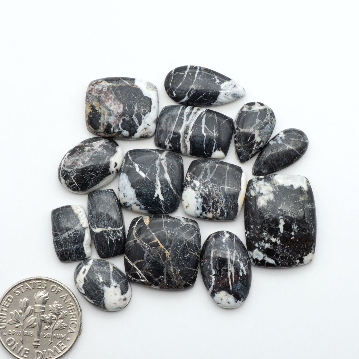 White Buffalo stone cabochons, white stone with black matrix, polished stones on a white background, with a US dime for scale
