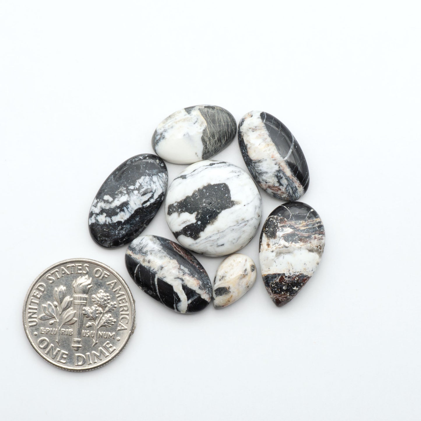 White Buffalo stone cabochons, white stone with black matrix, polished stones on a white background, with a US dime for scale