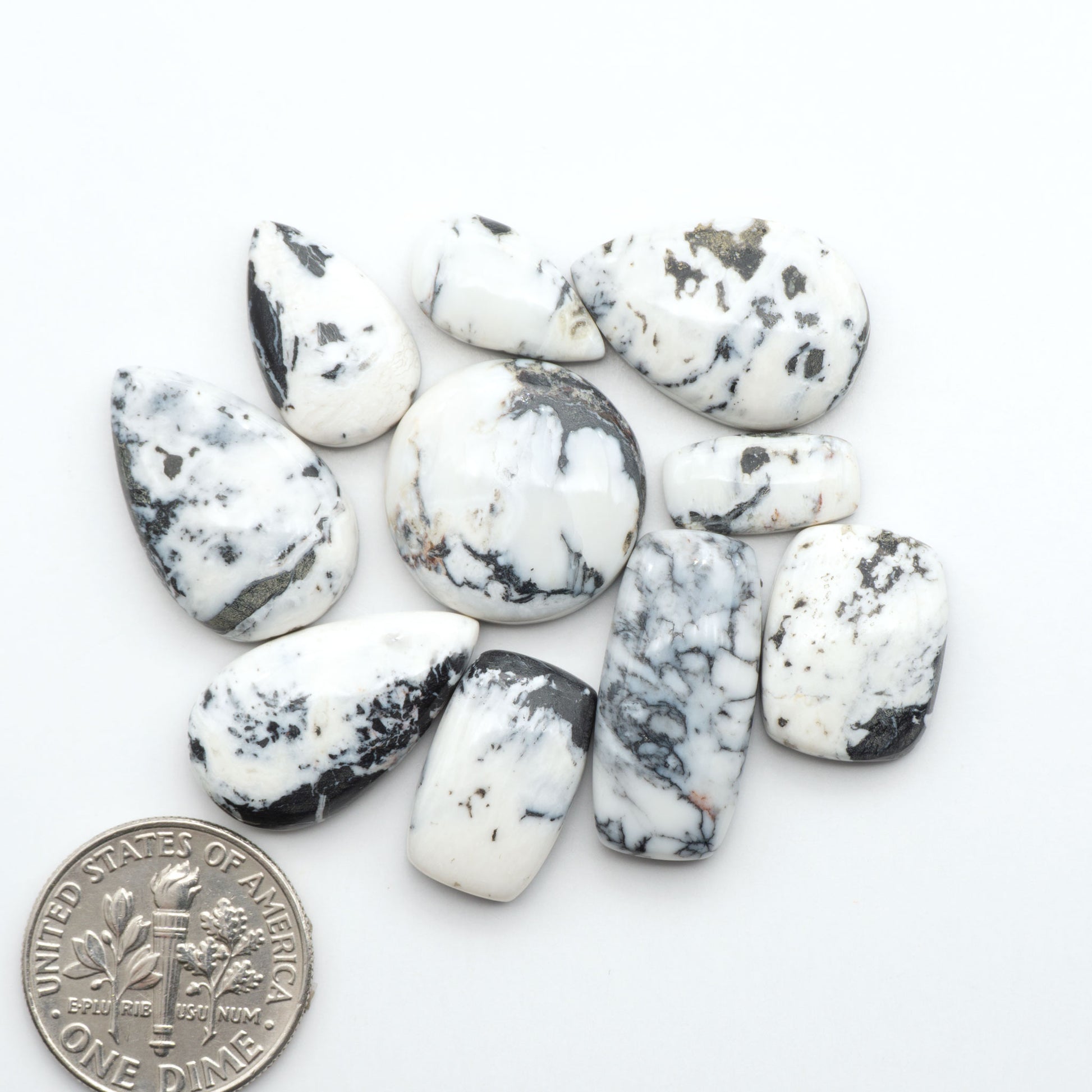White Buffalo stone cabochons, white stone with black matrix, polished stones on a white background, with a US dime for scale