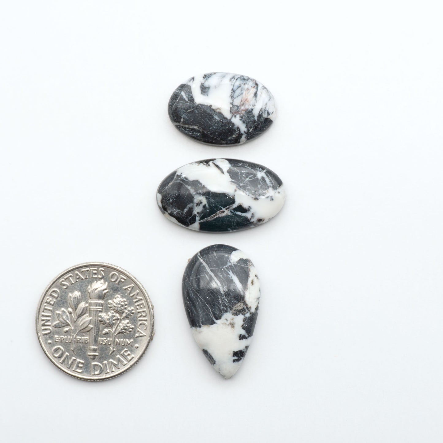 White Buffalo stone cabochons, white stone with black matrix, polished stones on a white background, with a US dime for scale