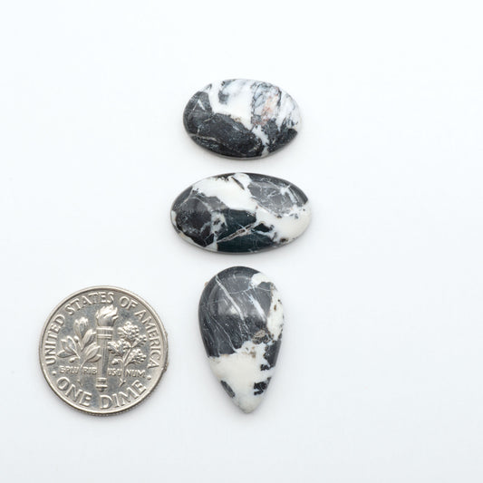 White Buffalo stone cabochons, white stone with black matrix, polished stones on a white background, with a US dime for scale