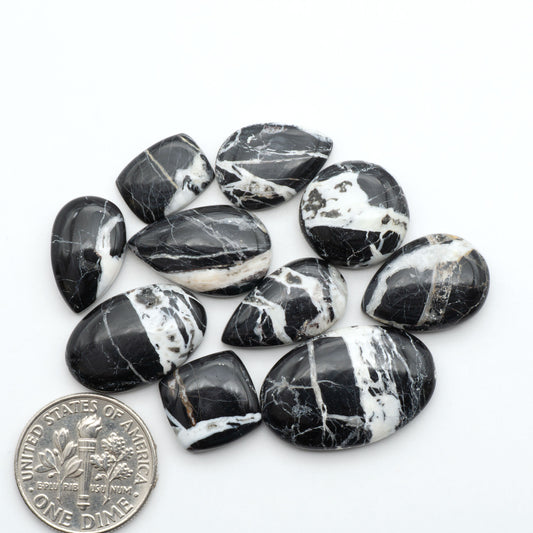 White Buffalo stone cabochons, white stone with black matrix, polished stones on a white background, with a US dime for scale
