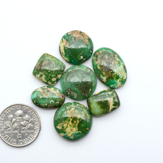Sonoran Mountain Turquoise cabochons, blue-green color with natural matrix, polished stones on a white background, with a US dime for scale