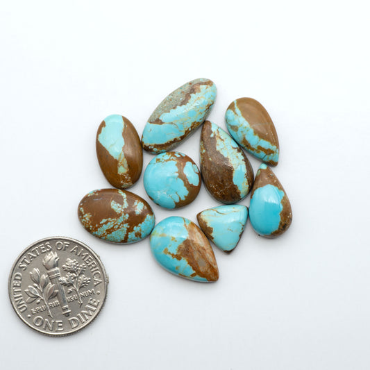 Number 8 Turquoise cabochons, blue and green color with brown matrix, polished stones on a white background, with a US dime for scale