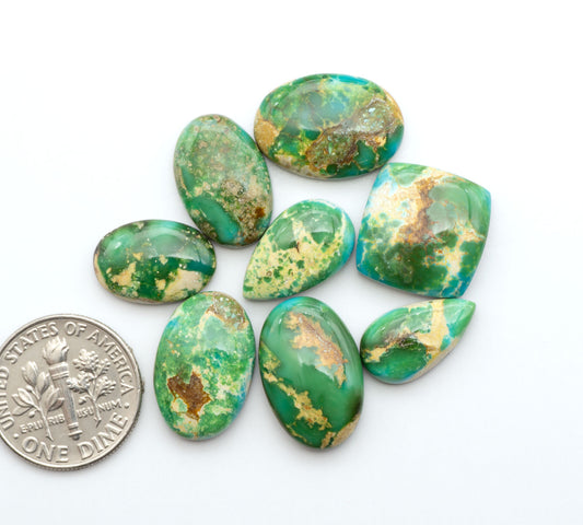 Sonoran Mountain Turquoise cabochons, blue-green color with natural matrix, polished stones on a white background, with a US dime for scale
