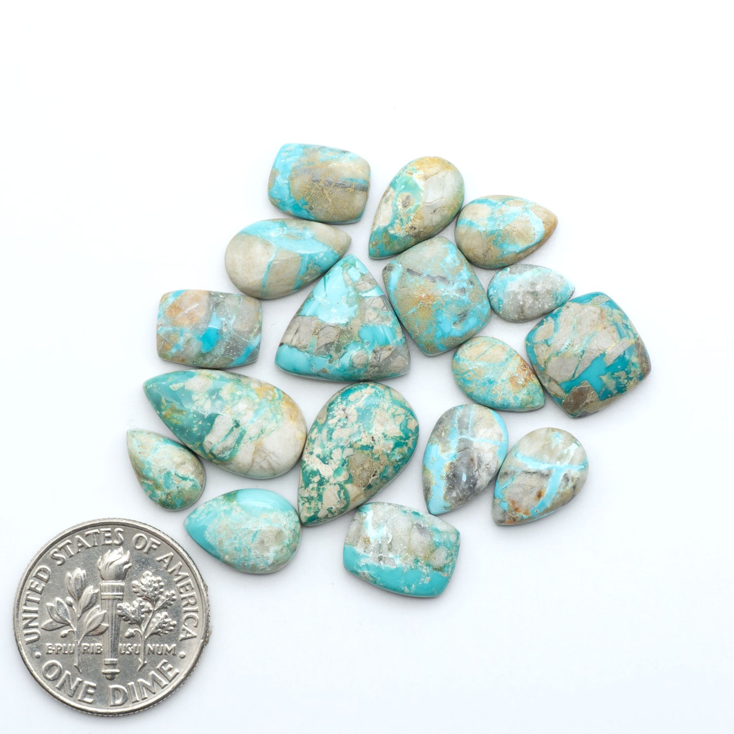 Fox Turquoise cabochons, polished gemstones with natural matrix on a white background, with a US dime for scale