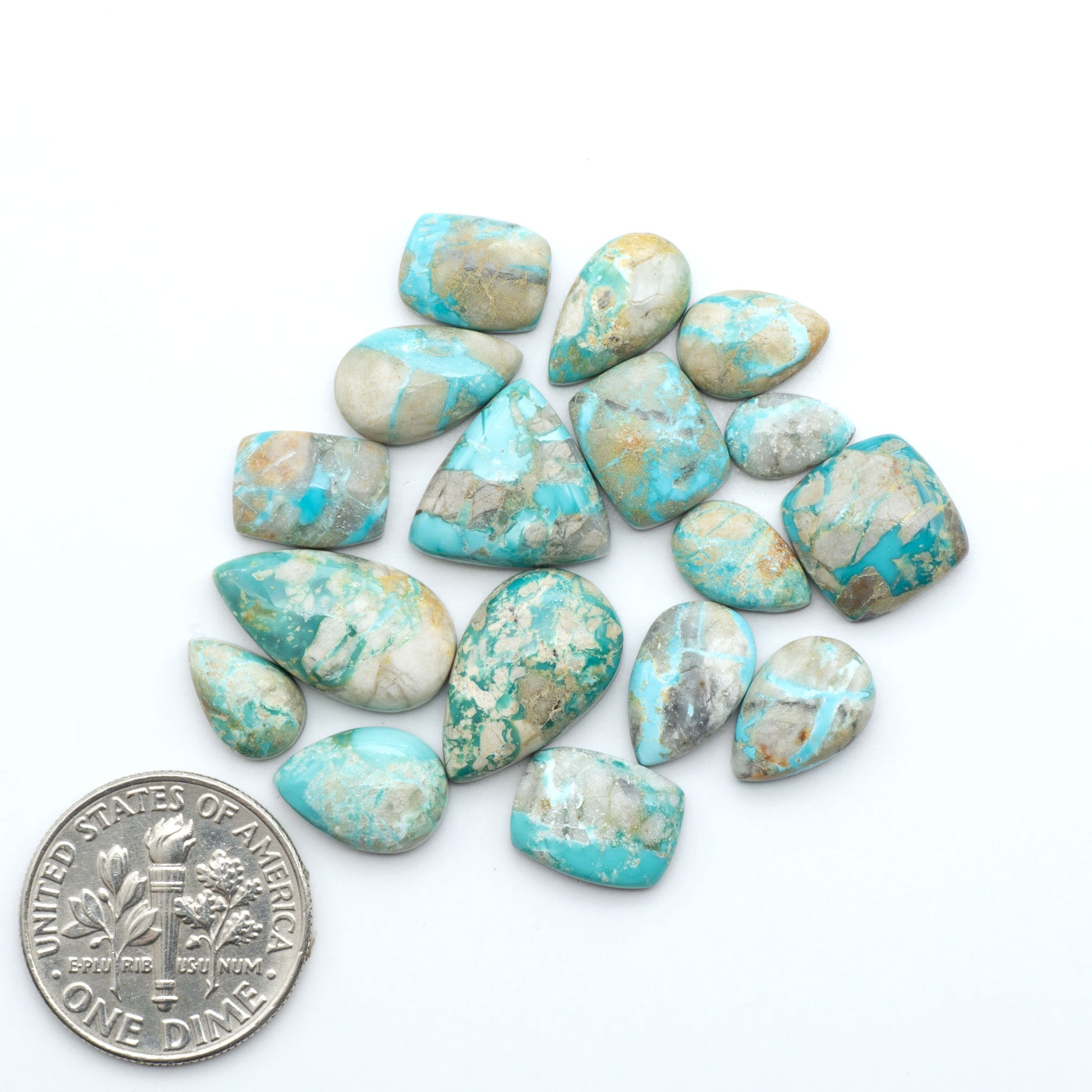 Fox Turquoise cabochons, polished gemstones with natural matrix on a white background, with a US dime for scale