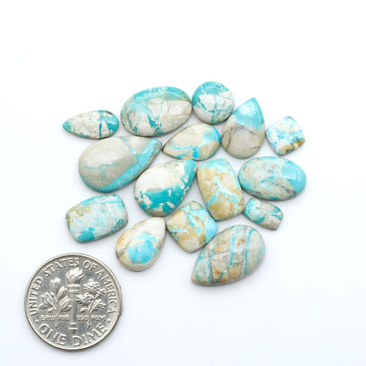 Fox Turquoise cabochons, polished gemstones with natural matrix on a white background, with a US dime for scale