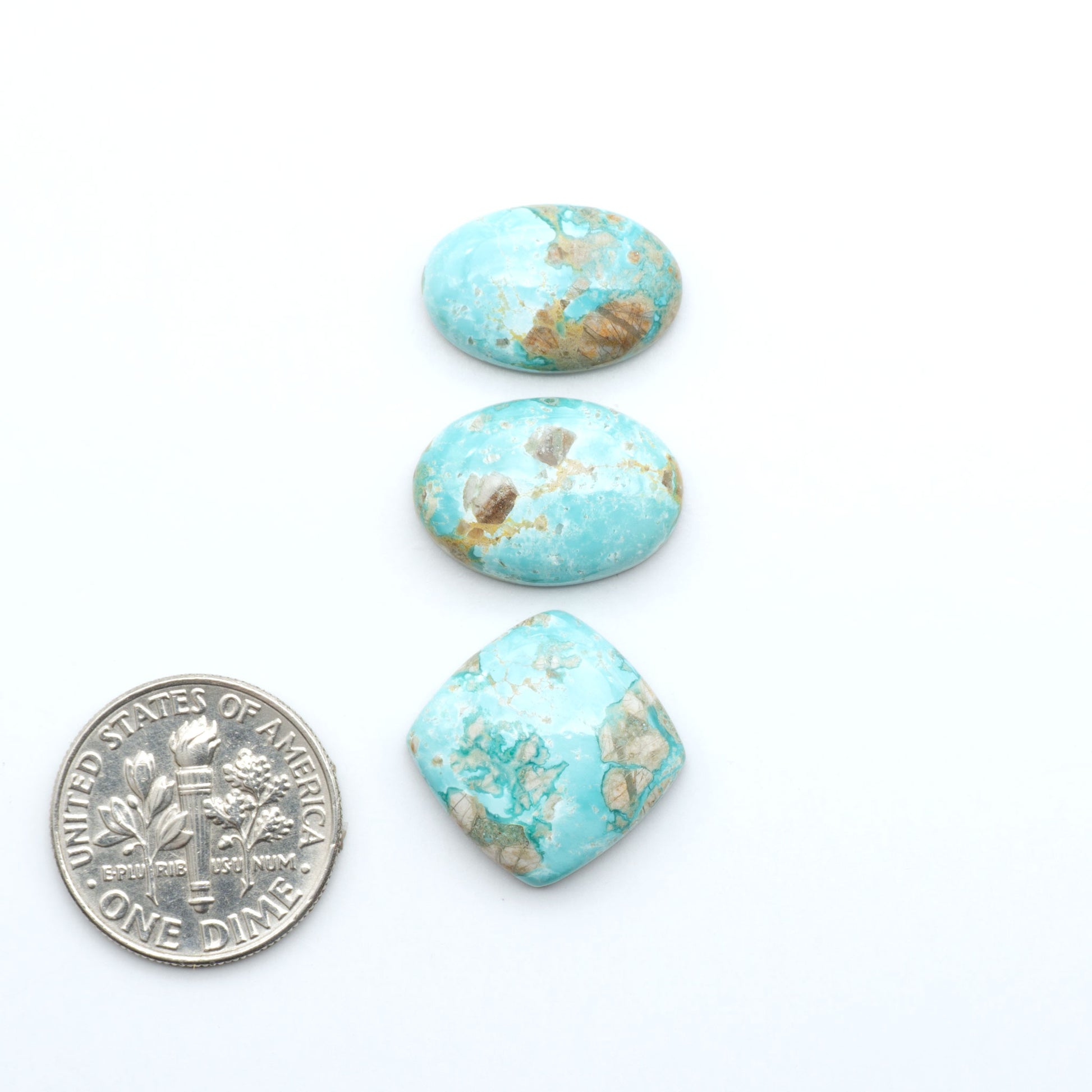 Fox Turquoise cabochons, polished gemstones with natural matrix on a white background, with a US dime for scale