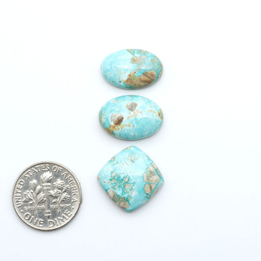 Fox Turquoise cabochons, polished gemstones with natural matrix on a white background, with a US dime for scale