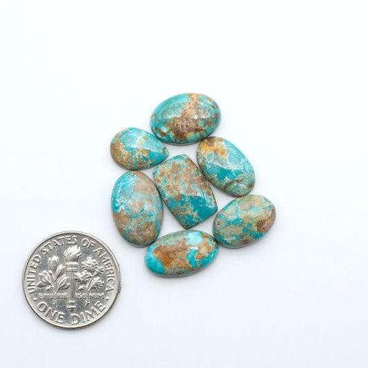Fox Turquoise cabochons, polished gemstones with natural matrix on a white background, with a US dime for scale
