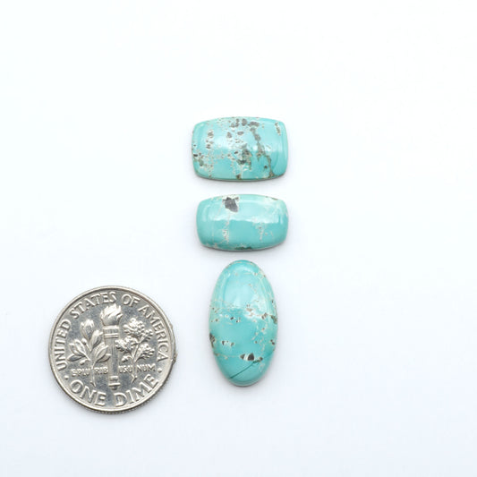 Fox Turquoise cabochons, polished gemstones with natural matrix on a white background, with a US dime for scale