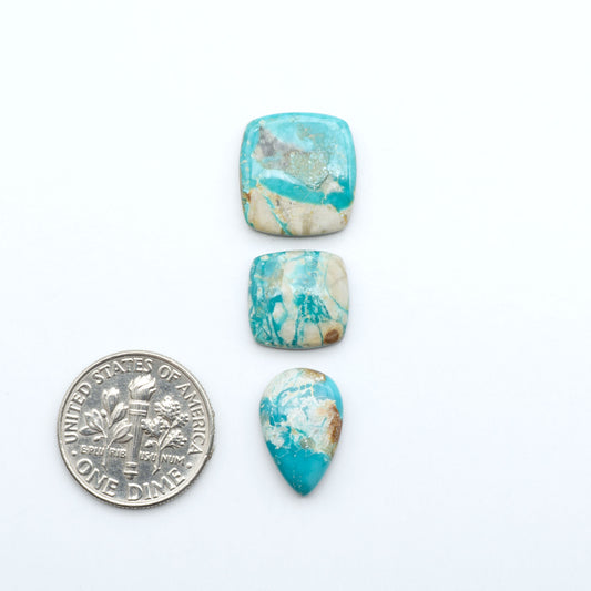 Fox Turquoise cabochons, polished gemstones with natural matrix on a white background, with a US dime for scale