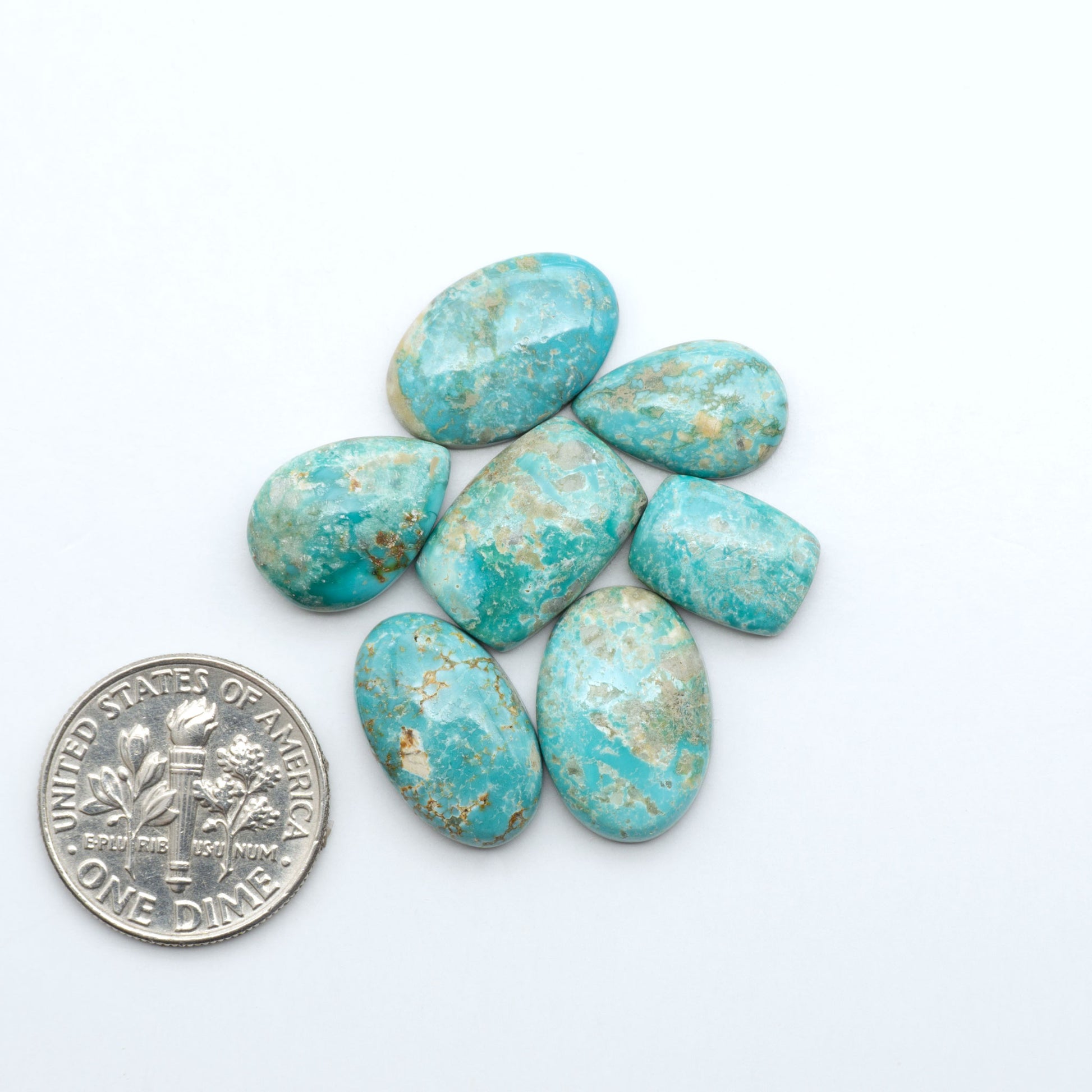 Fox Turquoise cabochons, polished gemstones with natural matrix on a white background, with a US dime for scale