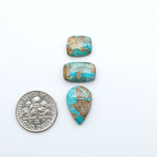 Fox Turquoise cabochons, polished gemstones with natural matrix on a white background, with a US dime for scale