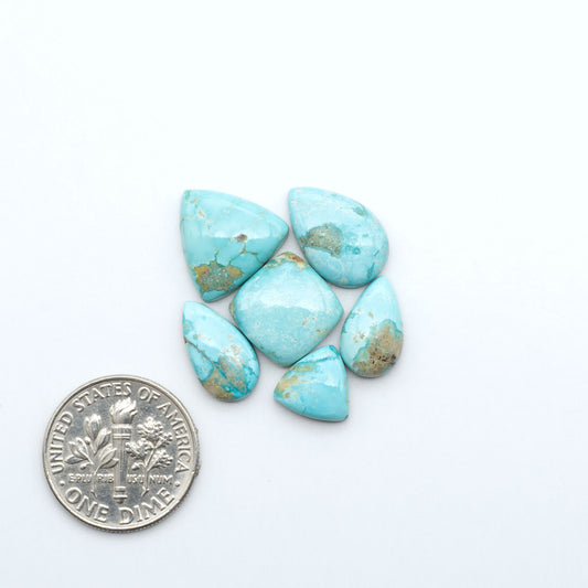 Fox Turquoise cabochons, polished gemstones with natural matrix on a white background, with a US dime for scale