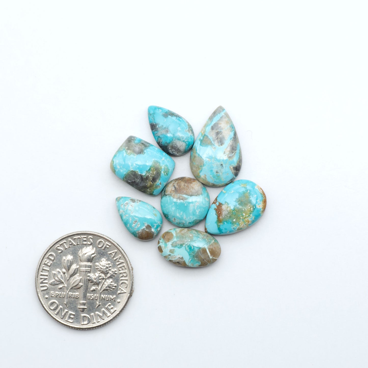 Fox Turquoise cabochons, polished gemstones with natural matrix on a white background, with a US dime for scale