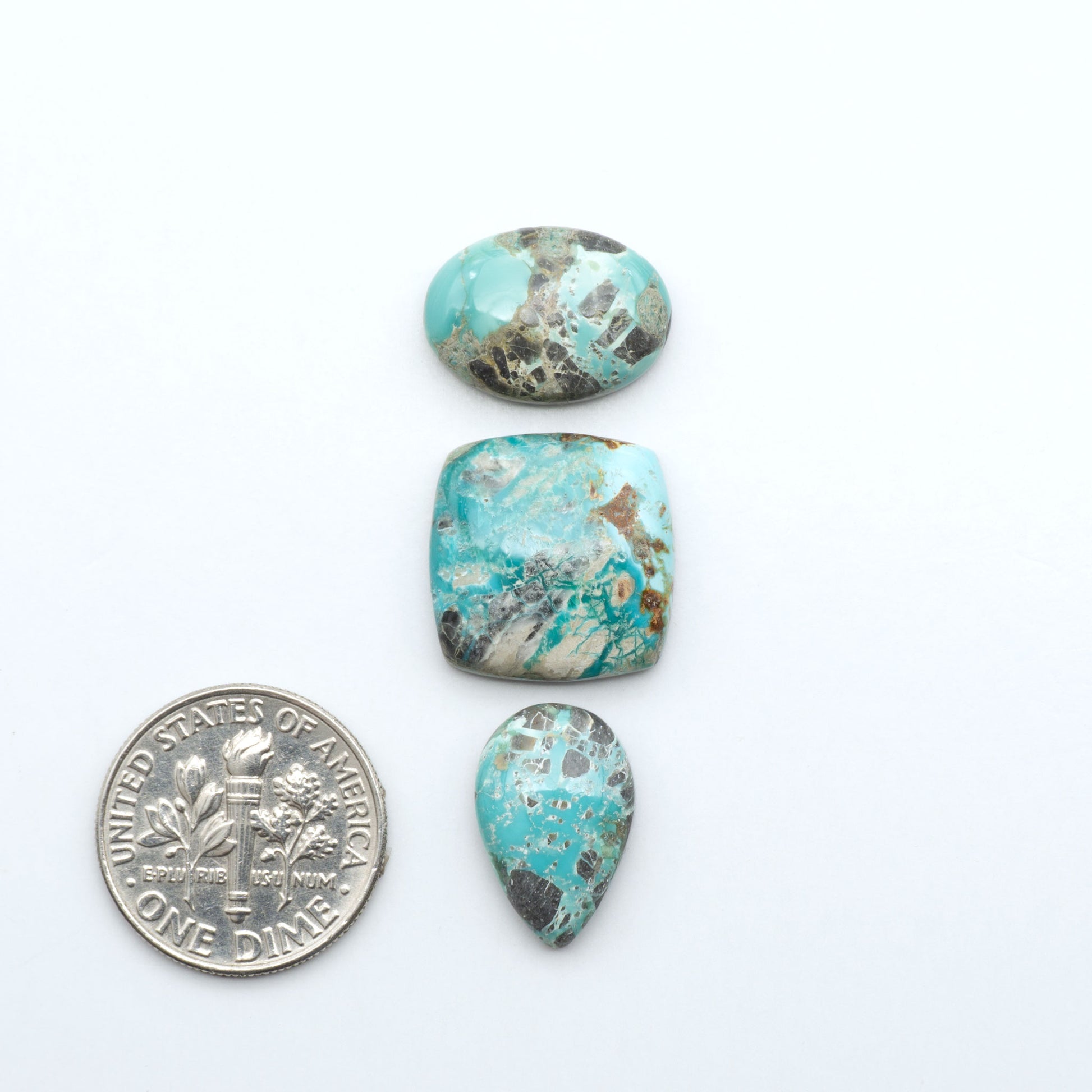 Fox Turquoise cabochons, polished gemstones with natural matrix on a white background, with a US dime for scale