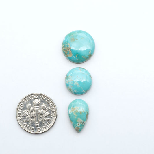 Fox Turquoise cabochons, polished gemstones with natural matrix on a white background, with a US dime for scale