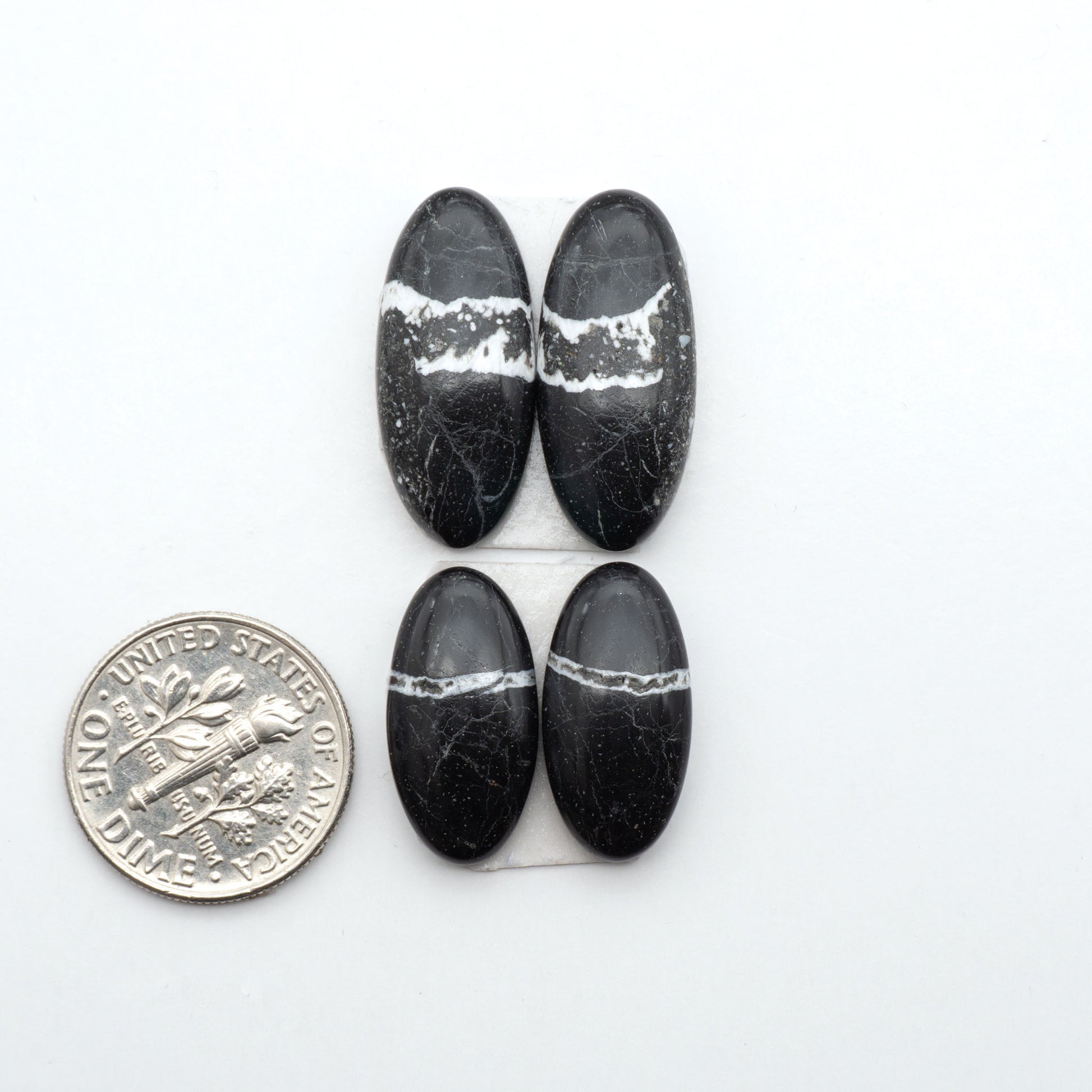 White Buffalo stone cabochons, white stone with black matrix, polished stones on a white background, with a US dime for scale
