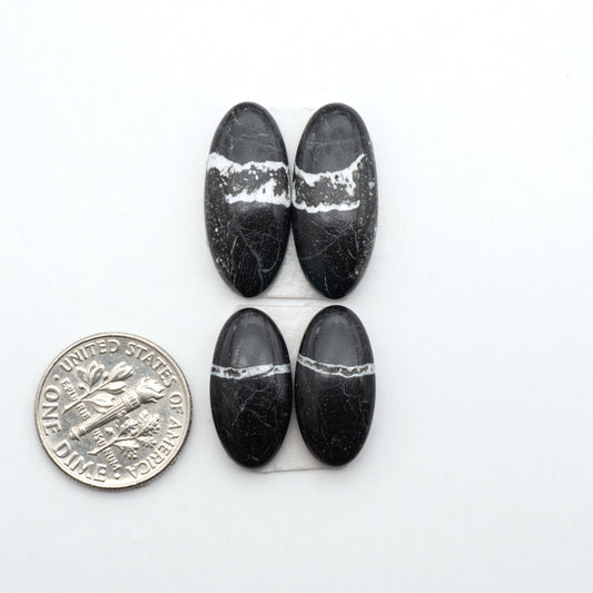White Buffalo stone cabochons, white stone with black matrix, polished stones on a white background, with a US dime for scale