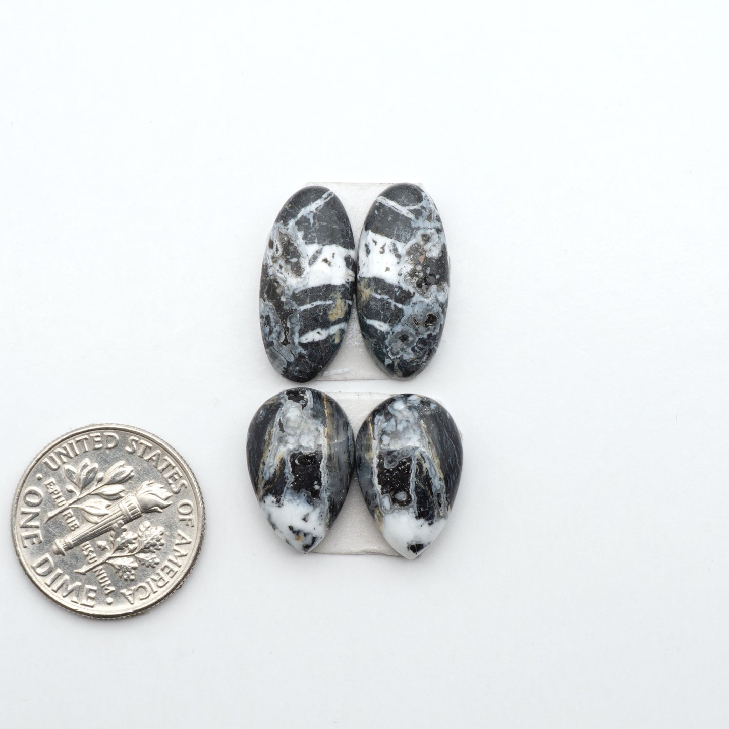 White Buffalo stone cabochons, white stone with black matrix, polished stones on a white background, with a US dime for scale