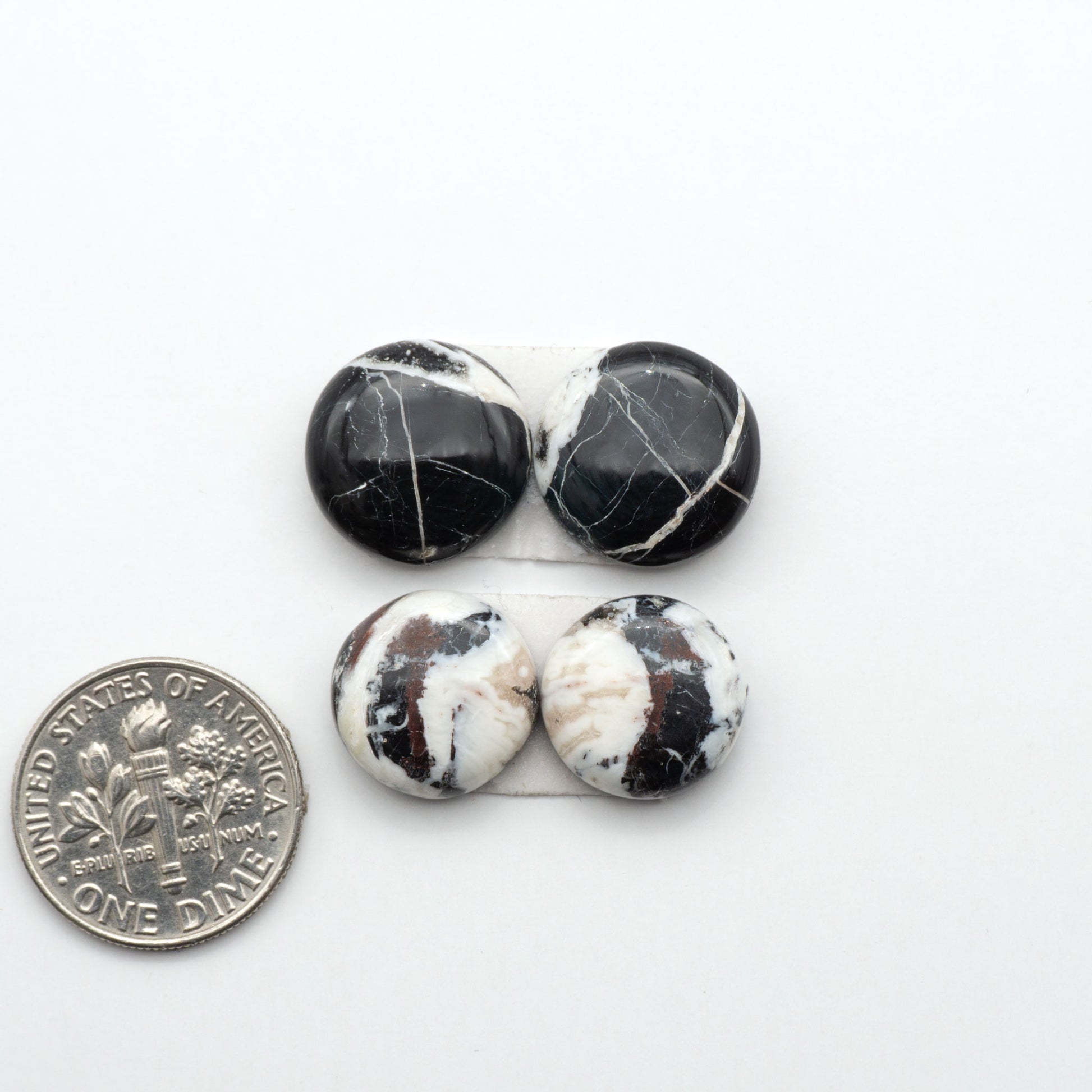 White Buffalo stone cabochons, white stone with black matrix, polished stones on a white background, with a US dime for scale