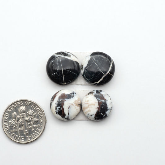White Buffalo stone cabochons, white stone with black matrix, polished stones on a white background, with a US dime for scale