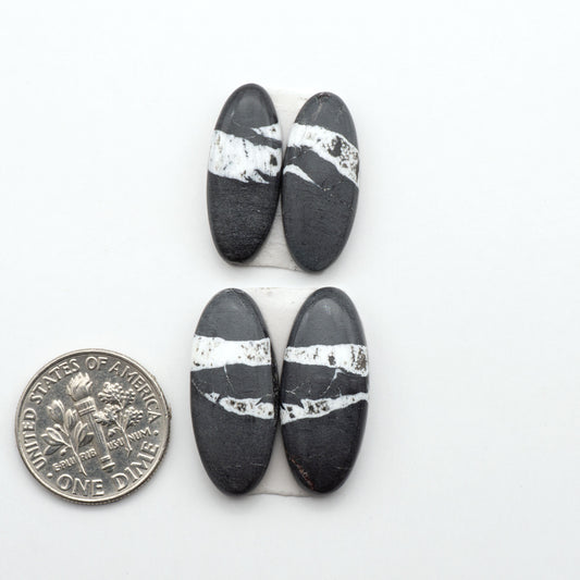 White Buffalo stone cabochons, white stone with black matrix, polished stones on a white background, with a US dime for scale