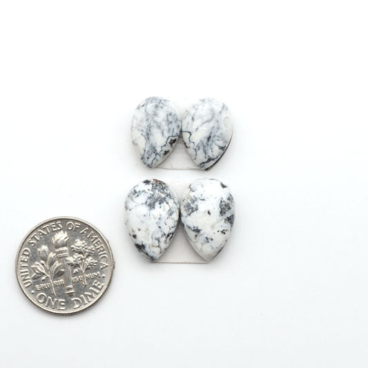 White Buffalo stone cabochons, white stone with black matrix, polished stones on a white background, with a US dime for scale