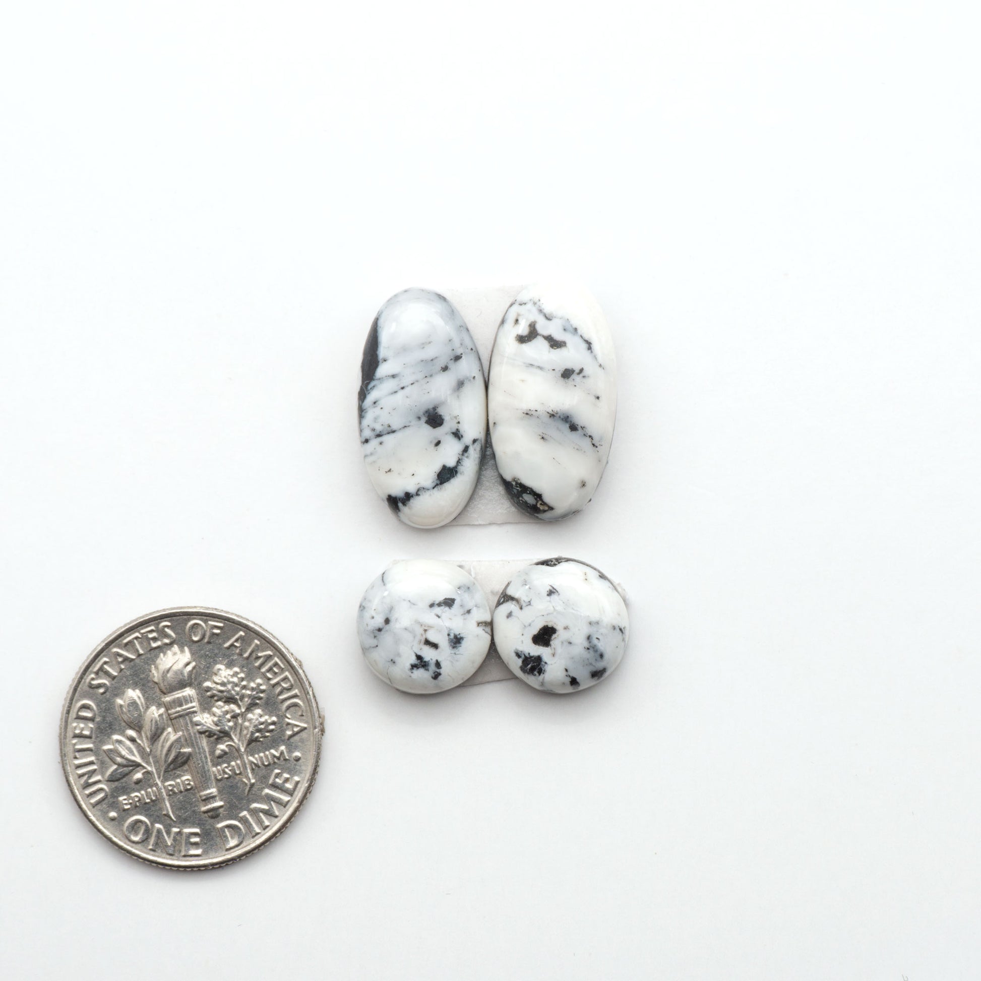 White Buffalo stone cabochons, white stone with black matrix, polished stones on a white background, with a US dime for scale