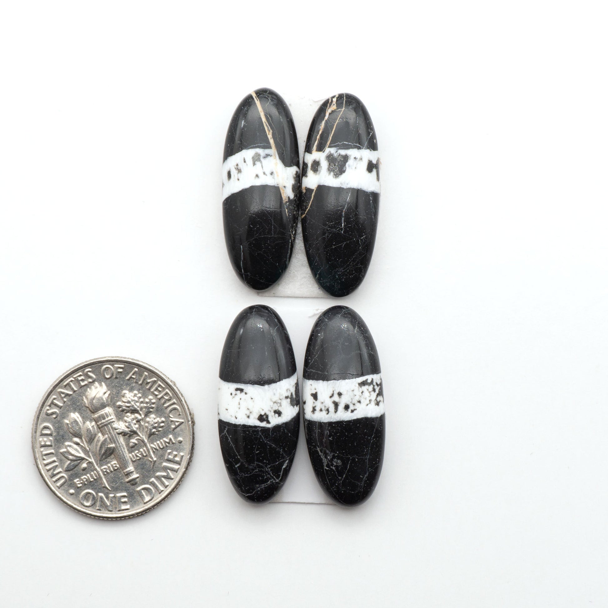 White Buffalo stone cabochons, white stone with black matrix, polished stones on a white background, with a US dime for scale
