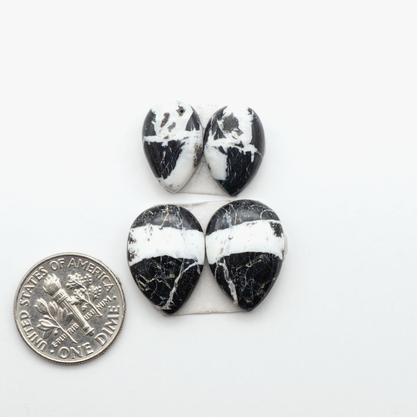 White Buffalo stone cabochons, white stone with black matrix, polished stones on a white background, with a US dime for scale