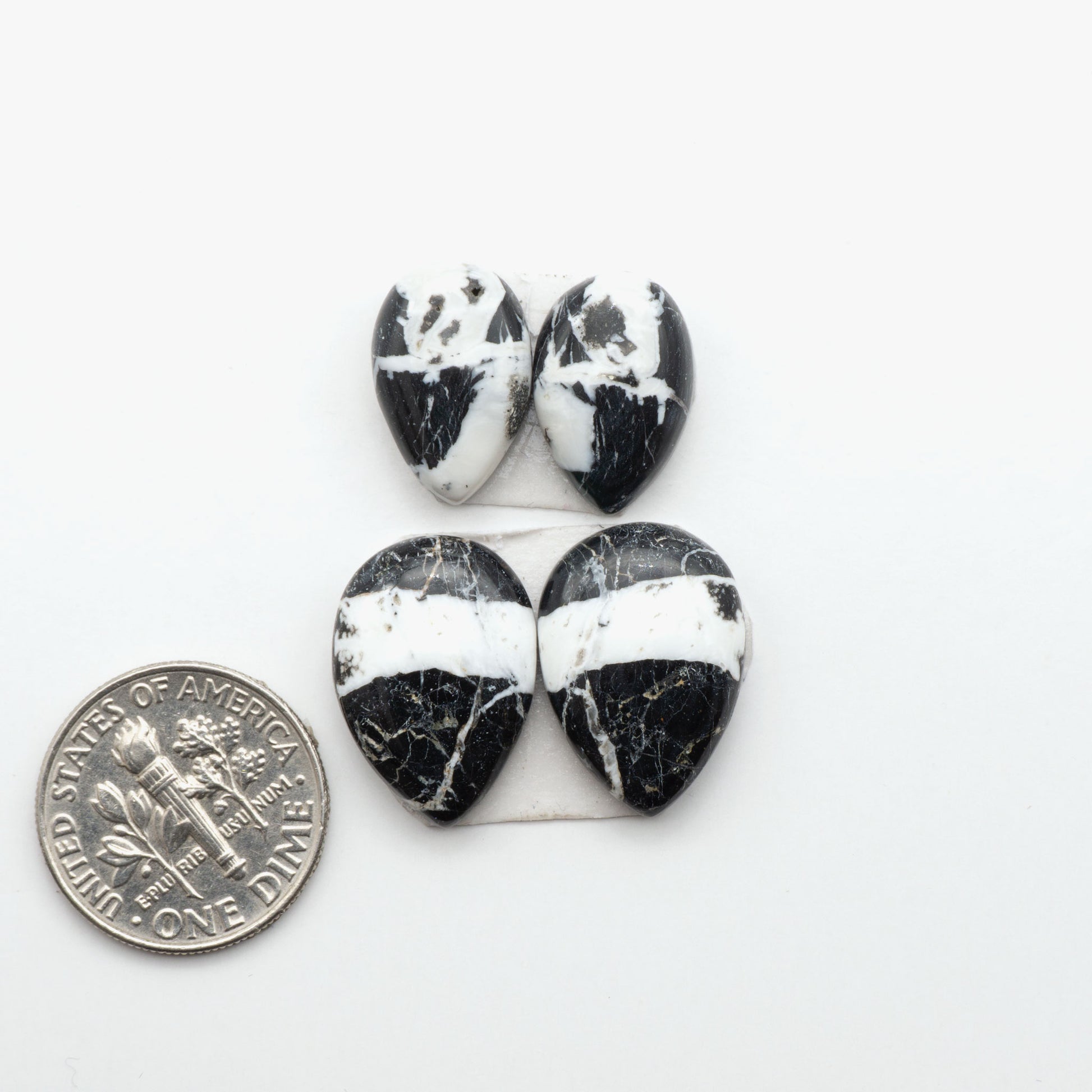 White Buffalo stone cabochons, white stone with black matrix, polished stones on a white background, with a US dime for scale