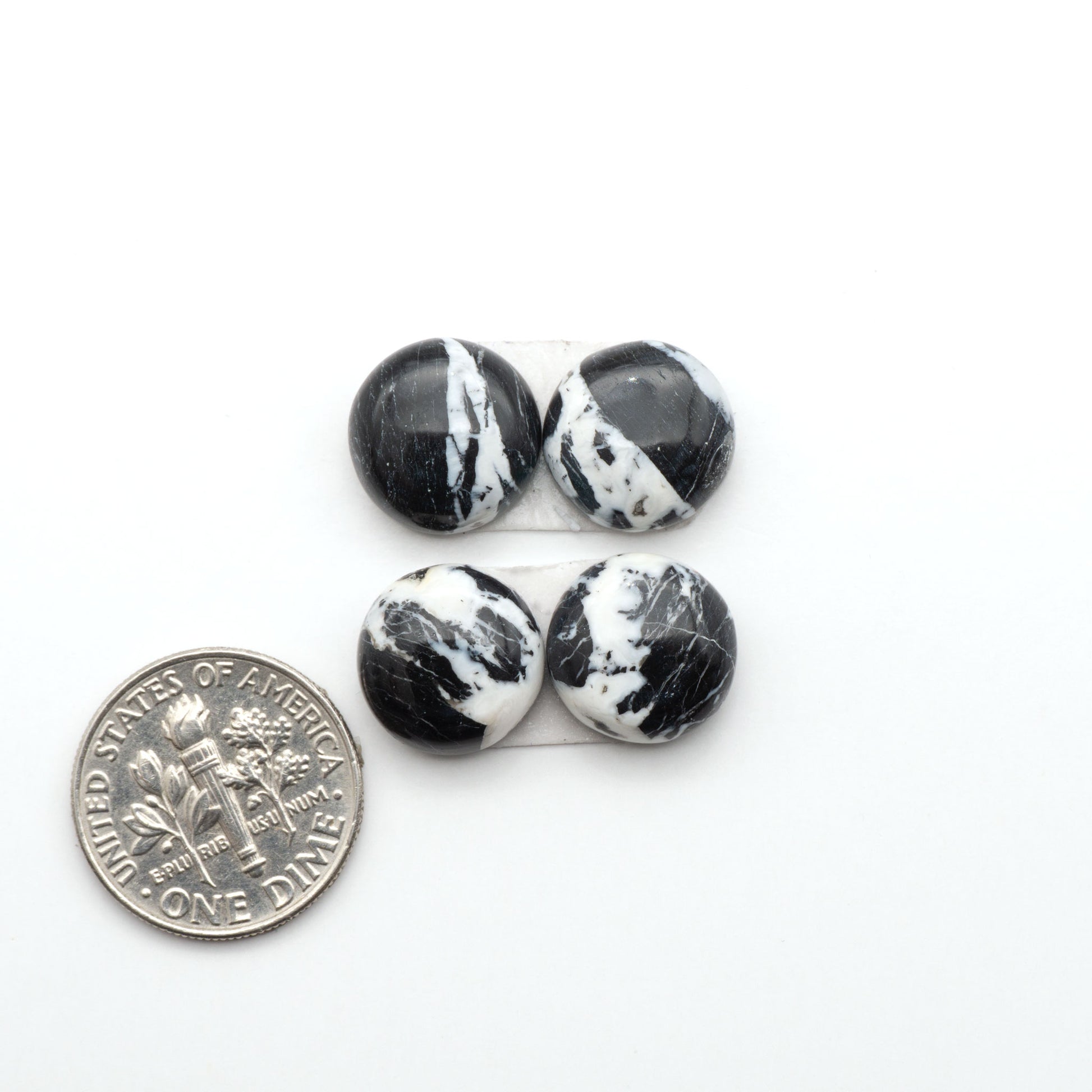 White Buffalo stone cabochons, white stone with black matrix, polished stones on a white background, with a US dime for scale