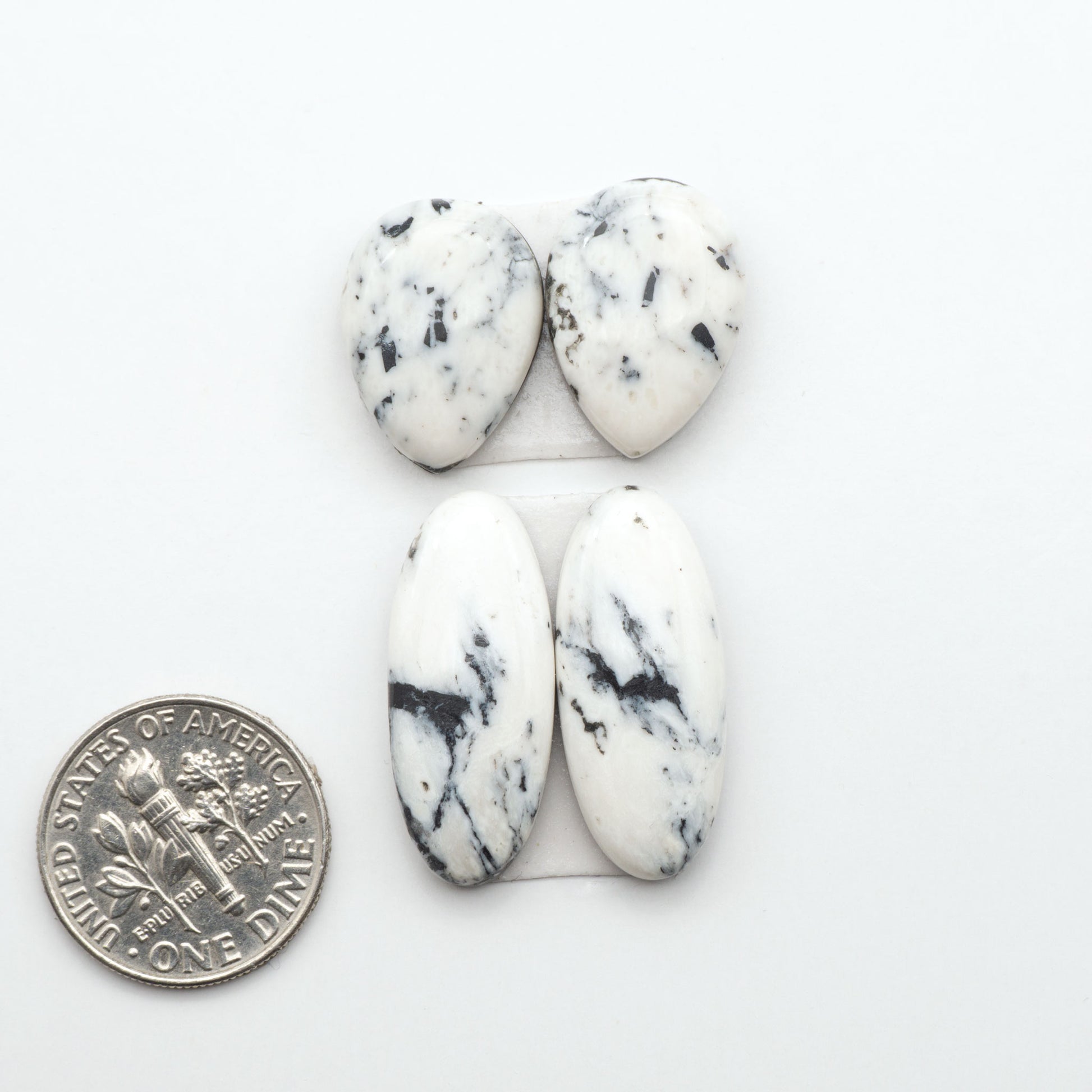 White Buffalo stone cabochons, white stone with black matrix, polished stones on a white background, with a US dime for scale