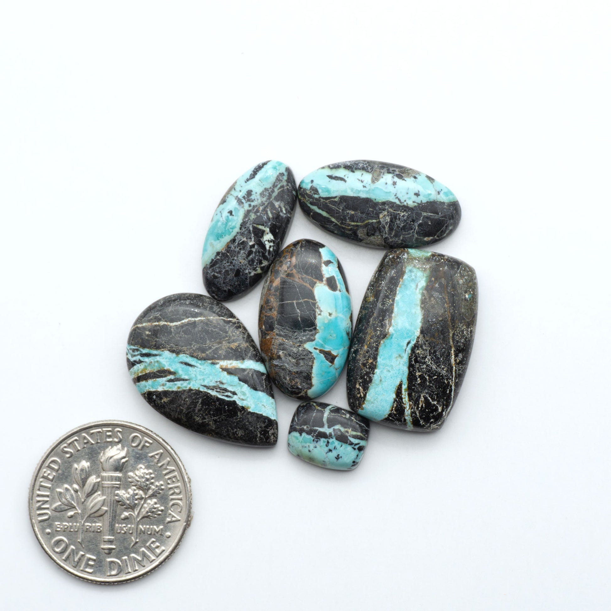 Black Jack turquoise cabochons, blue-green color with black matrix, polished stones on a white background with a US dime for scale