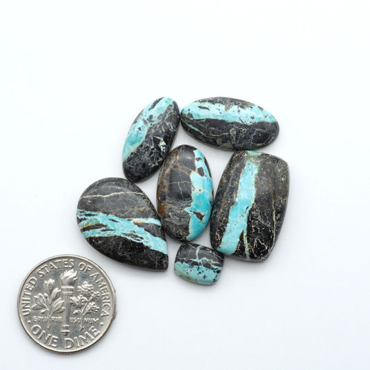 Black Jack turquoise cabochons, blue-green color with black matrix, polished stones on a white background with a US dime for scale
