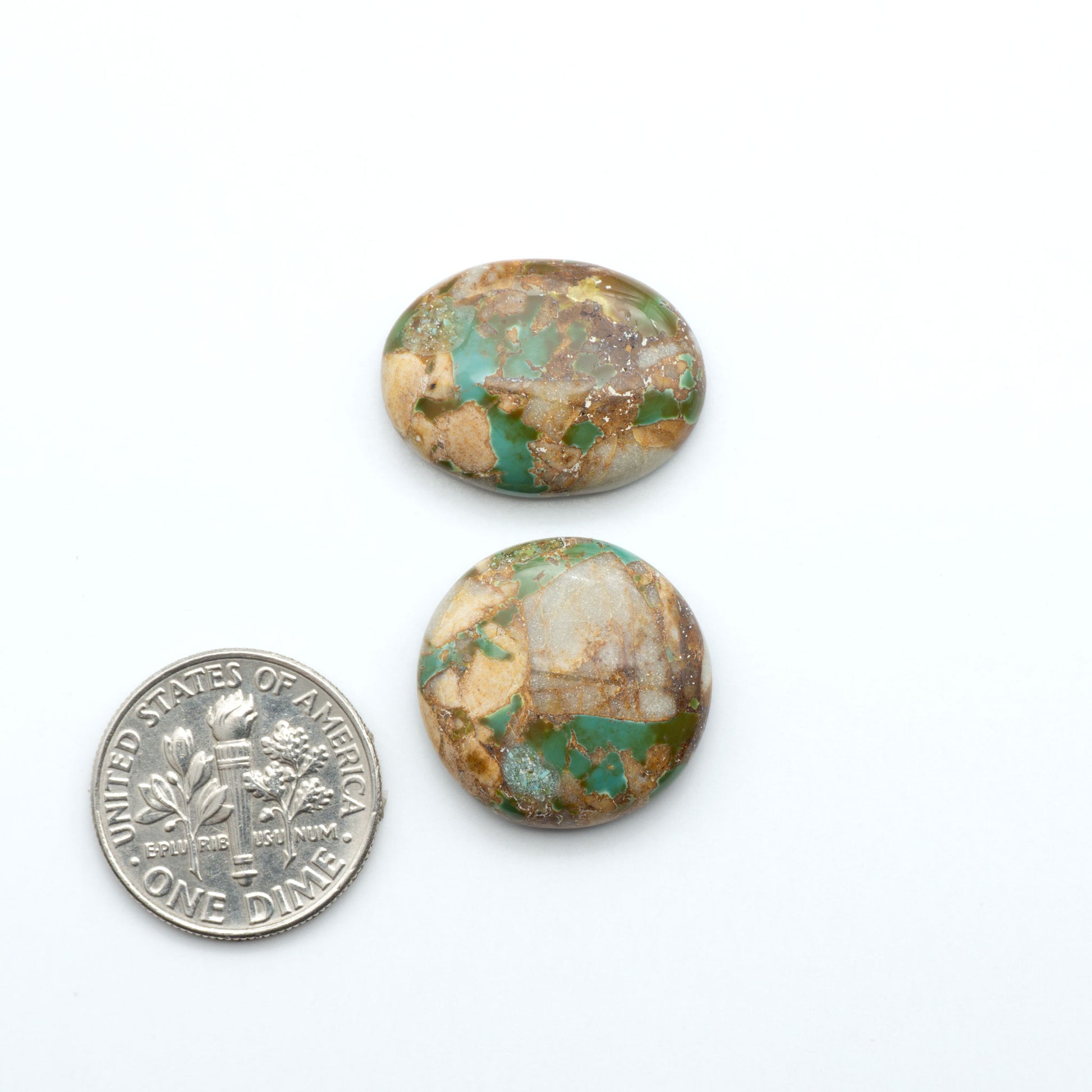 Royston Turquoise cabochons, blue-green color with natural matrix, polished stones on a white background, with a US dime for scale