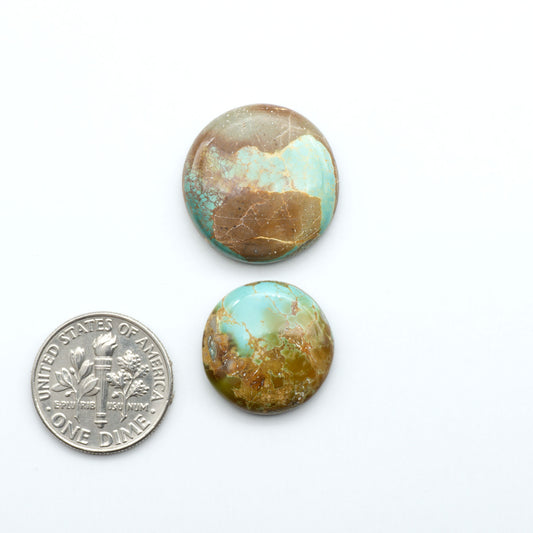 Royston Turquoise cabochons, blue-green color with natural matrix, polished stones on a white background, with a US dime for scale