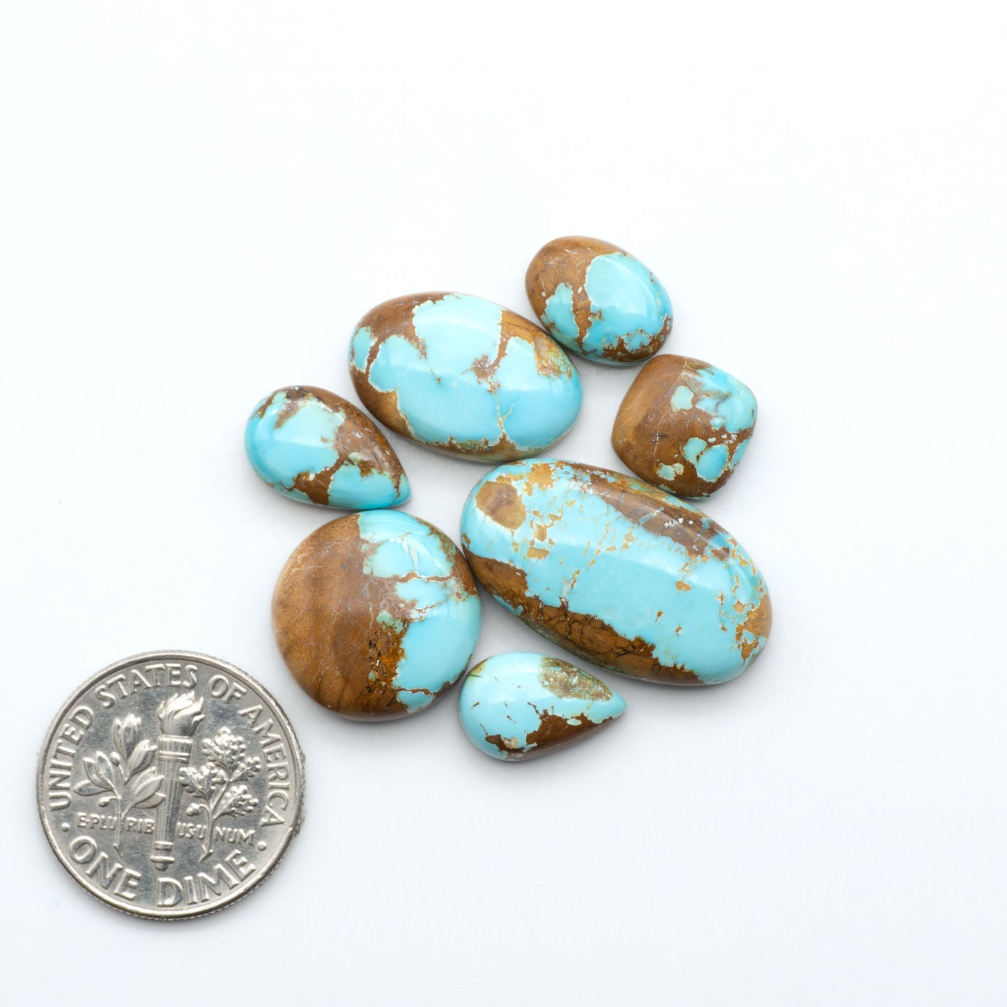 Royston Turquoise cabochons, blue-green color with natural matrix, polished stones on a white background, with a US dime for scale