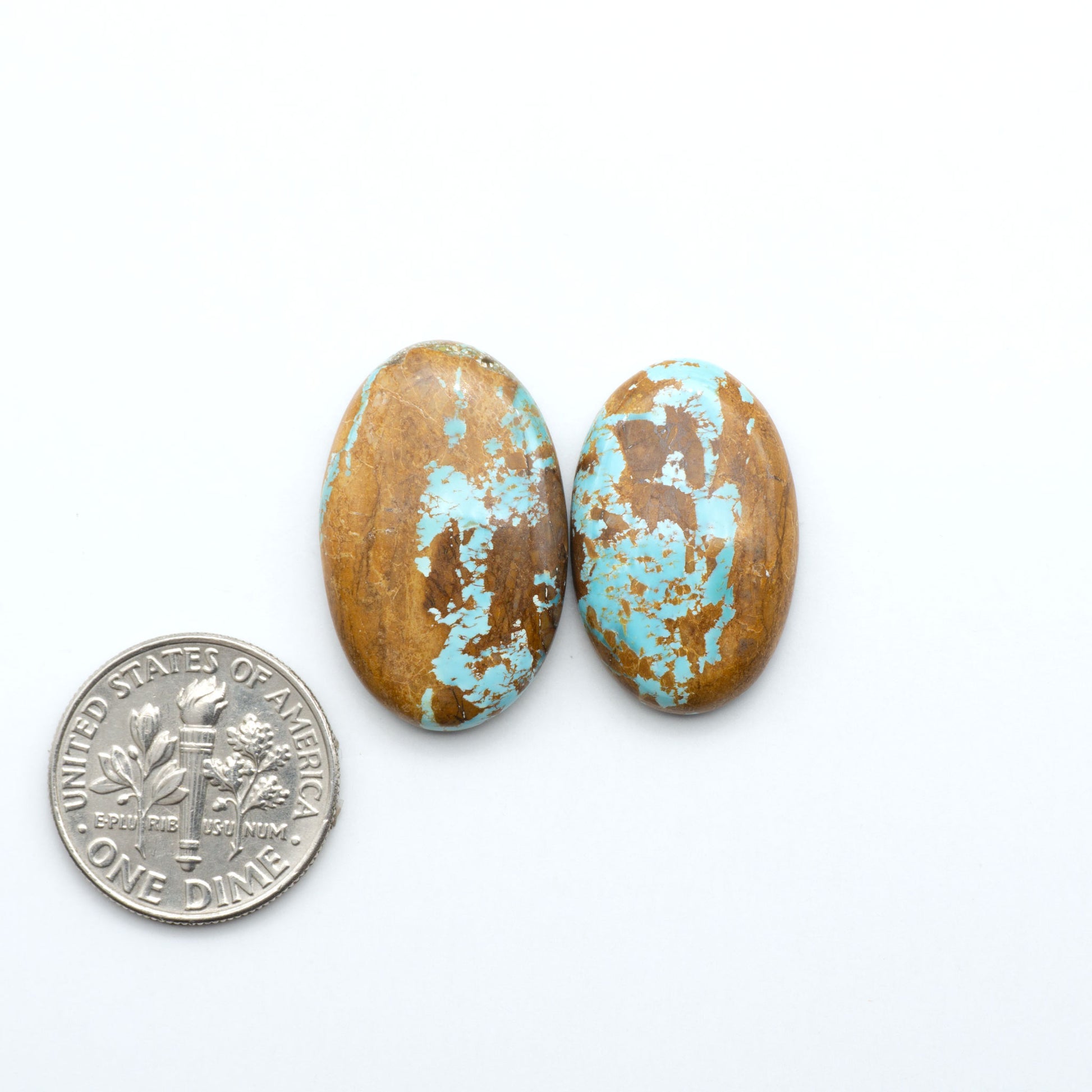 Royston Turquoise cabochons, blue-green color with natural matrix, polished stones on a white background, with a US dime for scale