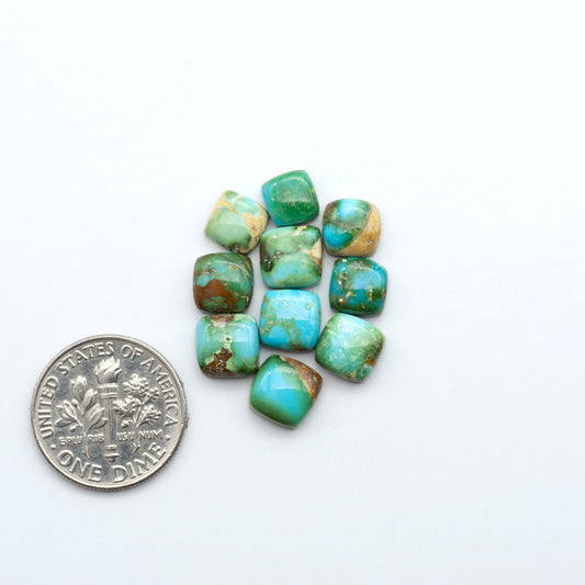 Sonoran Mountain Turquoise cabochons, blue-green color with natural matrix, polished stones on a white background, with a US dime for scale