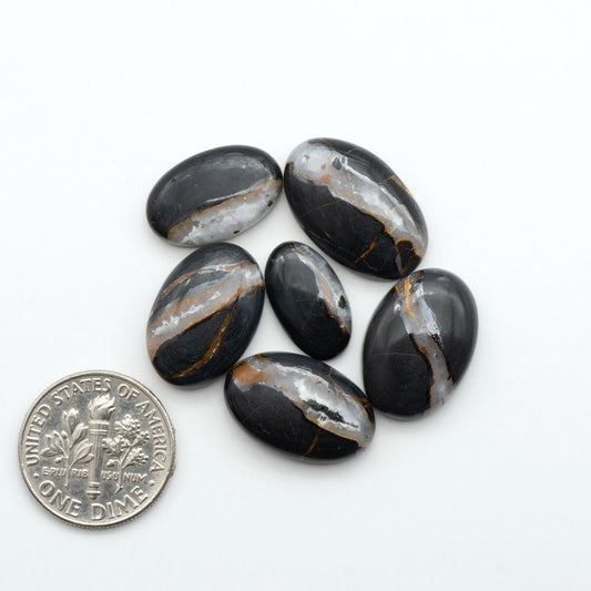 White Buffalo stone cabochons, white stone with black matrix, polished stones on a white background, with a US dime for scale