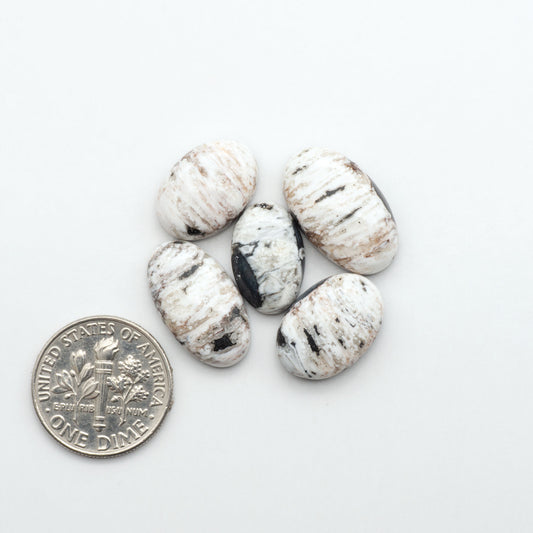 White Buffalo stone cabochons, white stone with black matrix, polished stones on a white background, with a US dime for scale