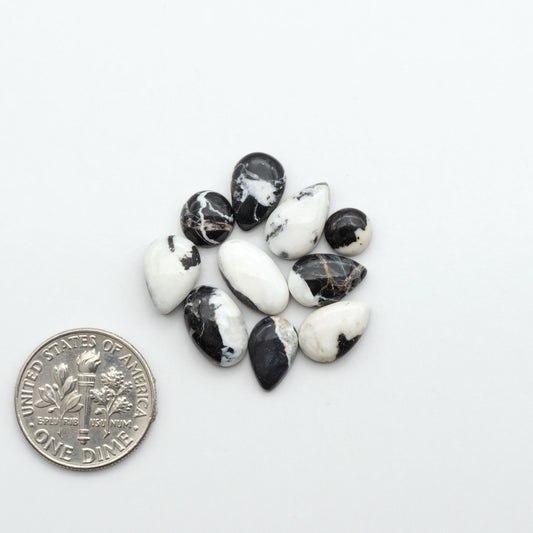 White Buffalo stone cabochons, white stone with black matrix, polished stones on a white background, with a US dime for scale